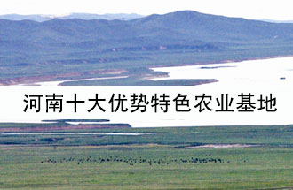 8月19日，河南省政府發(fā)布了關于深入推進農(nóng)業(yè)供給側(cè)結(jié)構性改革 大力發(fā)展優(yōu)勢特色農(nóng)業(yè)的意見