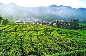 9月2日，財政部、稅務總局發(fā)布了關于繼續(xù)執(zhí)行邊銷茶增值稅政策的公告