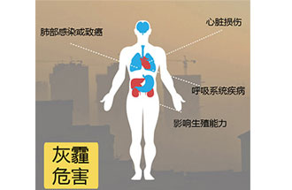 空氣中PM2.5 是由什么物質(zhì)組成的？